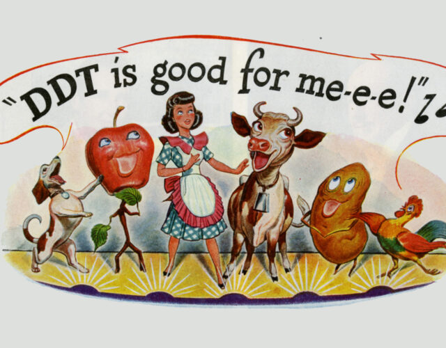 Image depicting a woman dancing with farm animals and fruits with the lyrics "DDT is good for me!"