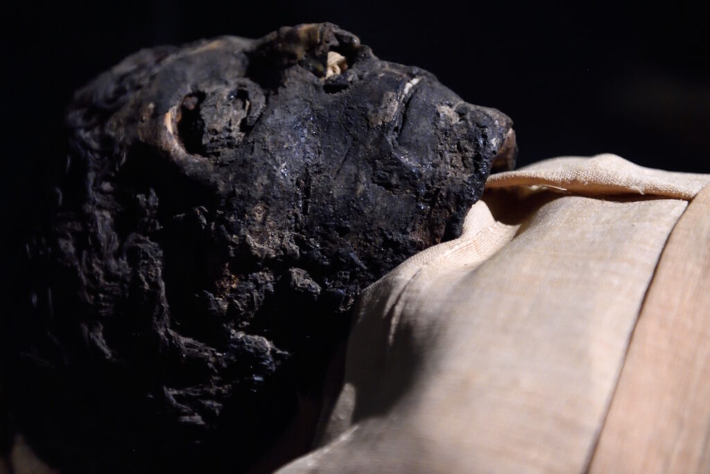 Mummies and the Usefulness of Death | Science History Institute
