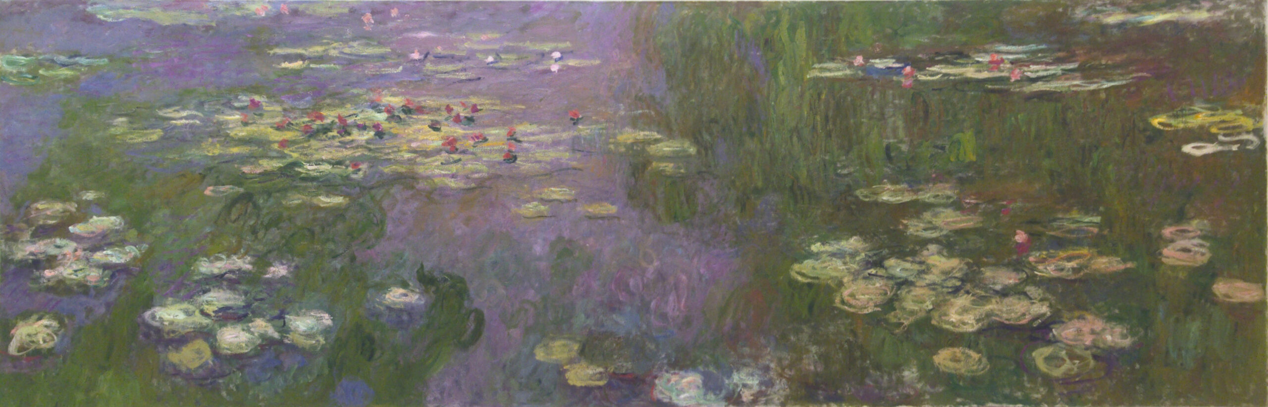 Art of zoo going back into lily