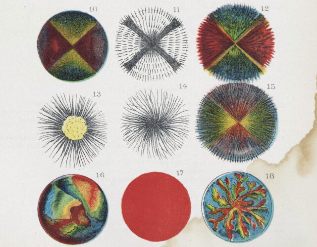 Twelve colorful illustrations from 1886 of various fats under a microscope.