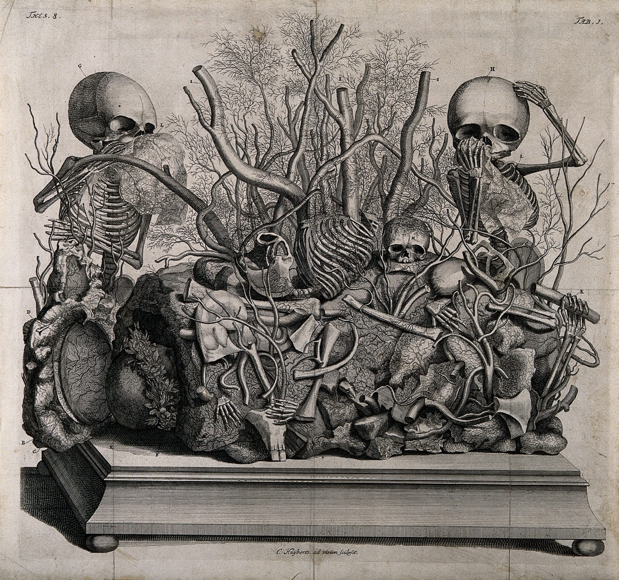 Skeletons in Classroom Diorama