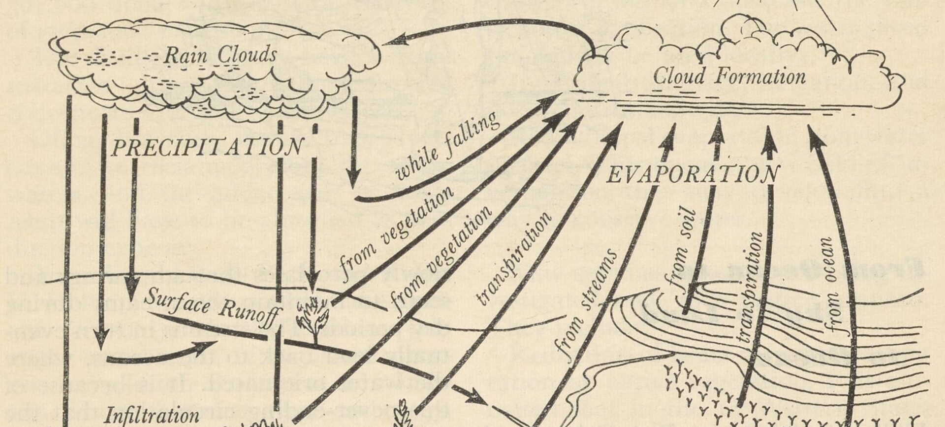 Illustration of the hydrologic cycle