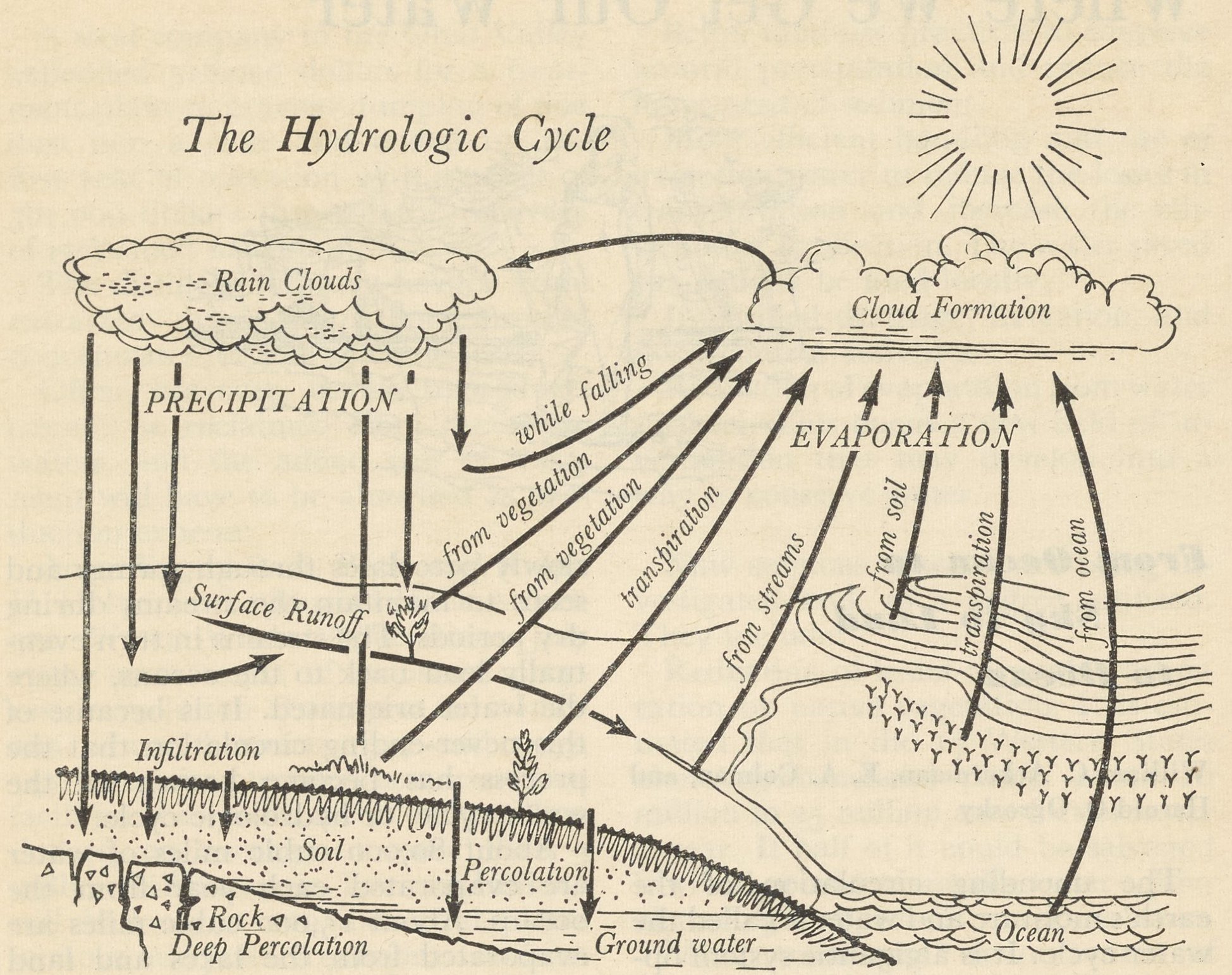 Illustration of the hydrologic cycle