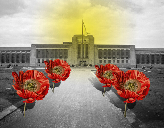 Photo illustration of poppy flowers and prison-hospital for addicts