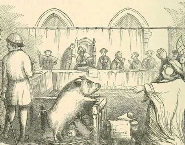 Kangaroo (and Pig and Monkey and Dog and Donkey) Courts | Science History  Institute