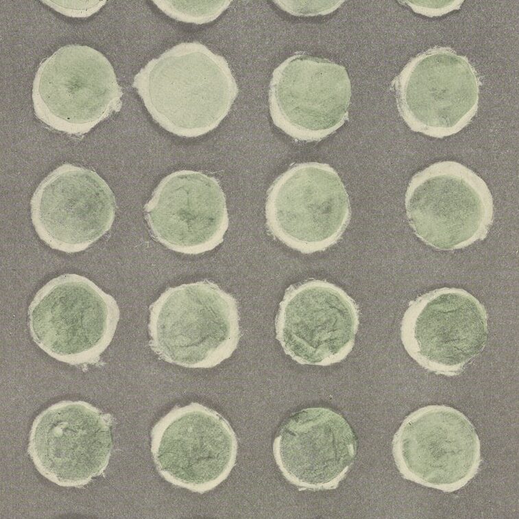 Detail of an illustrated plate depicting sediment (chiefly algae) from tap water collected on cotton disks in Cambridge, Massachusetts during the autumn of 1913.