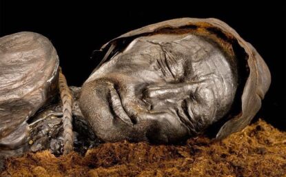 preserved body with head on mat of peat moss