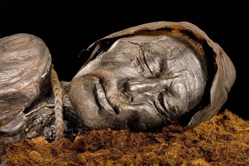 preserved bodies in ice