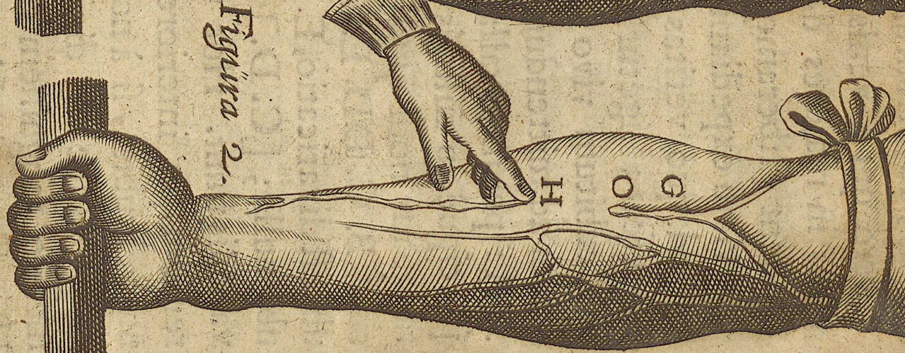 Illustration of William Harvey’s famous experiment showing blood circulation