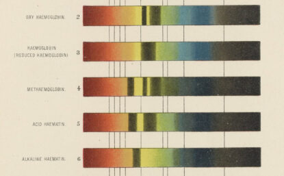 frontispiece plate of illustrations of the blood spectra