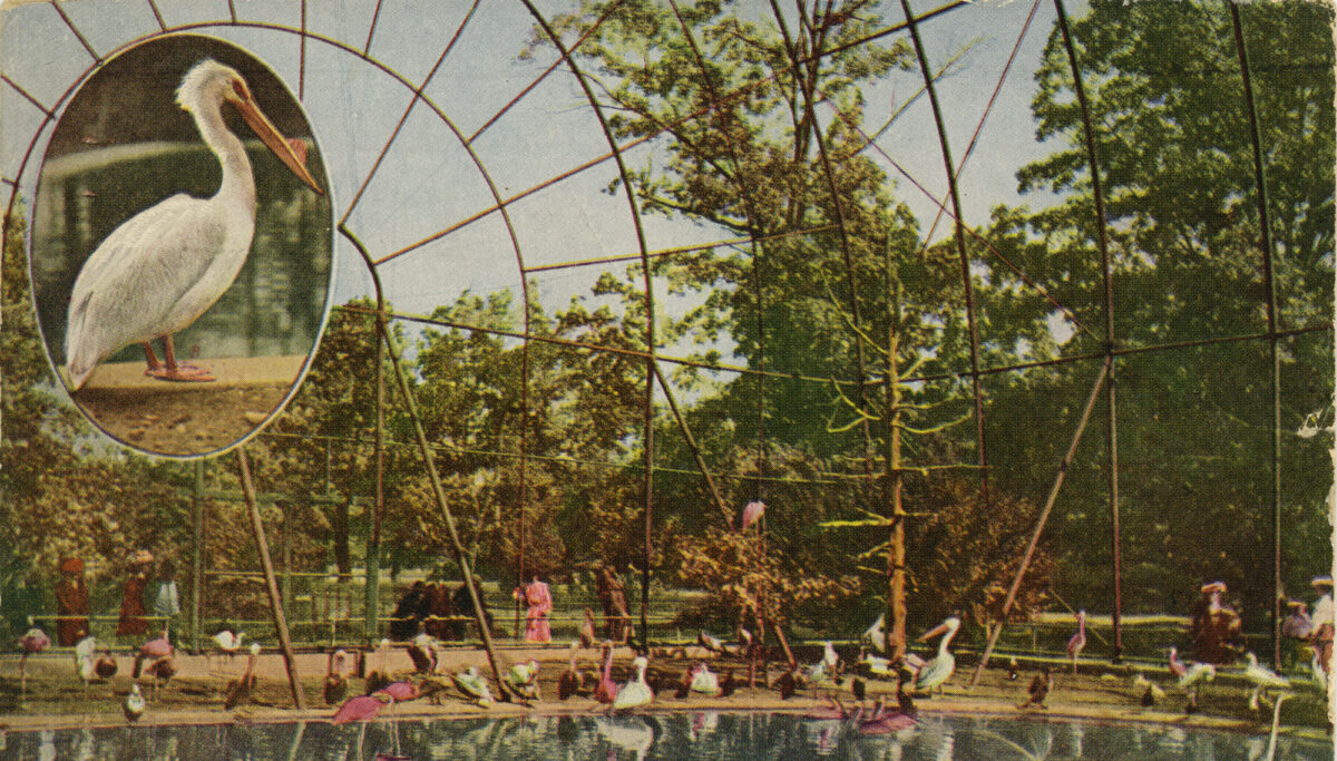 Colorized photograph of the interior of a large bird enclosure