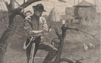 Black and white engraving of a man grafting a tree in front of a farmhouse