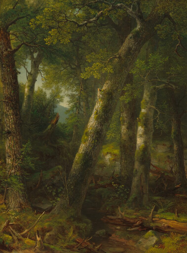 Painting of trees lit dimly