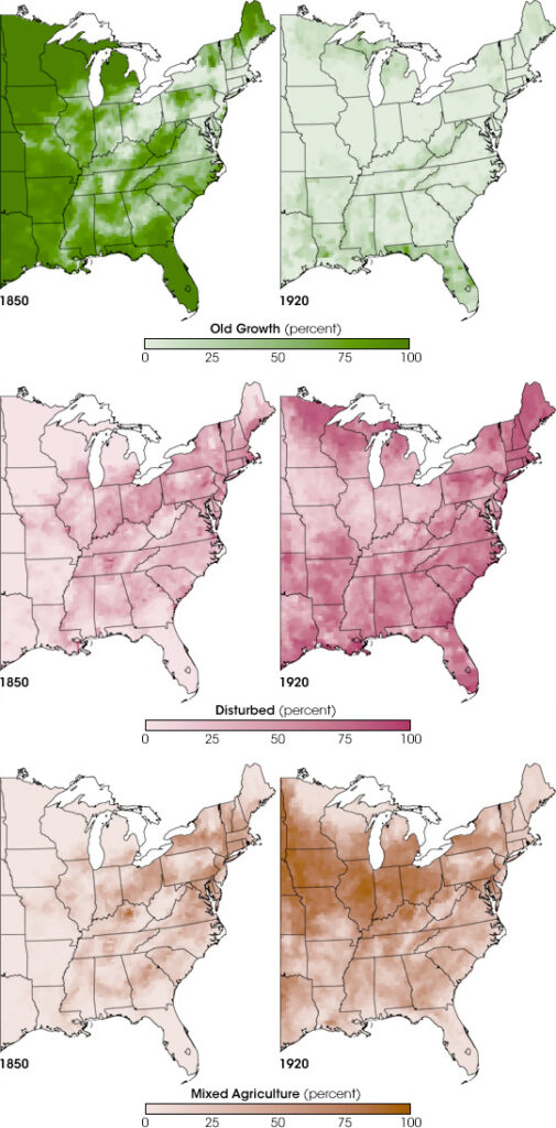 Maps stacked on top of one another, showing old growth forests declining and agriculture increasing between 1850 and 1920 across the Eastern United States.