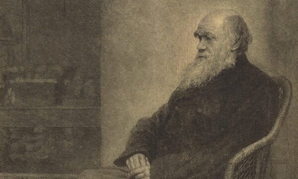 portrait of Charles Darwin
