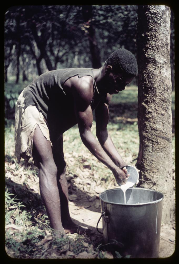 Photo of a man emptying a small container of white liquid into a large pail