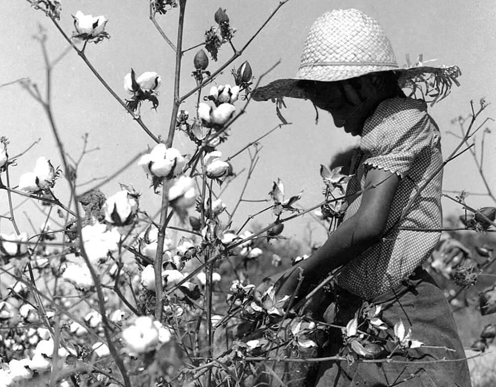 Black and white photo of girl with a cotton plant