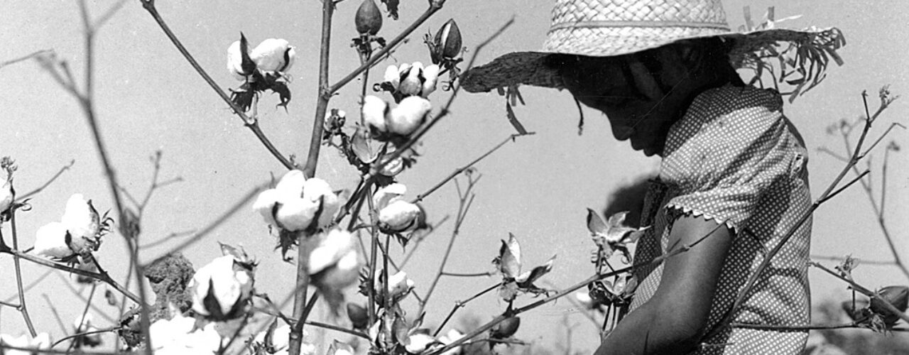 Black and white photo of girl with a cotton plant