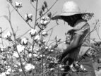 Black and white photo of girl with a cotton plant