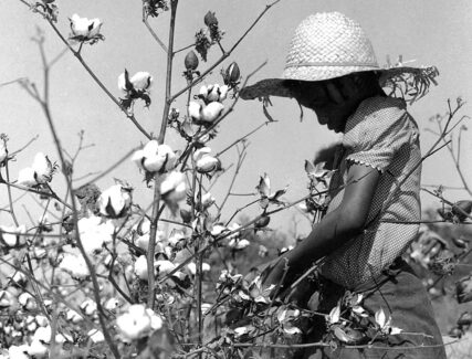 Black and white photo of girl with a cotton plant