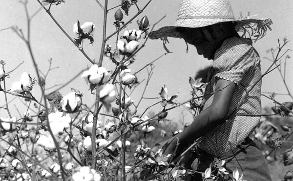 Black and white photo of girl with a cotton plant