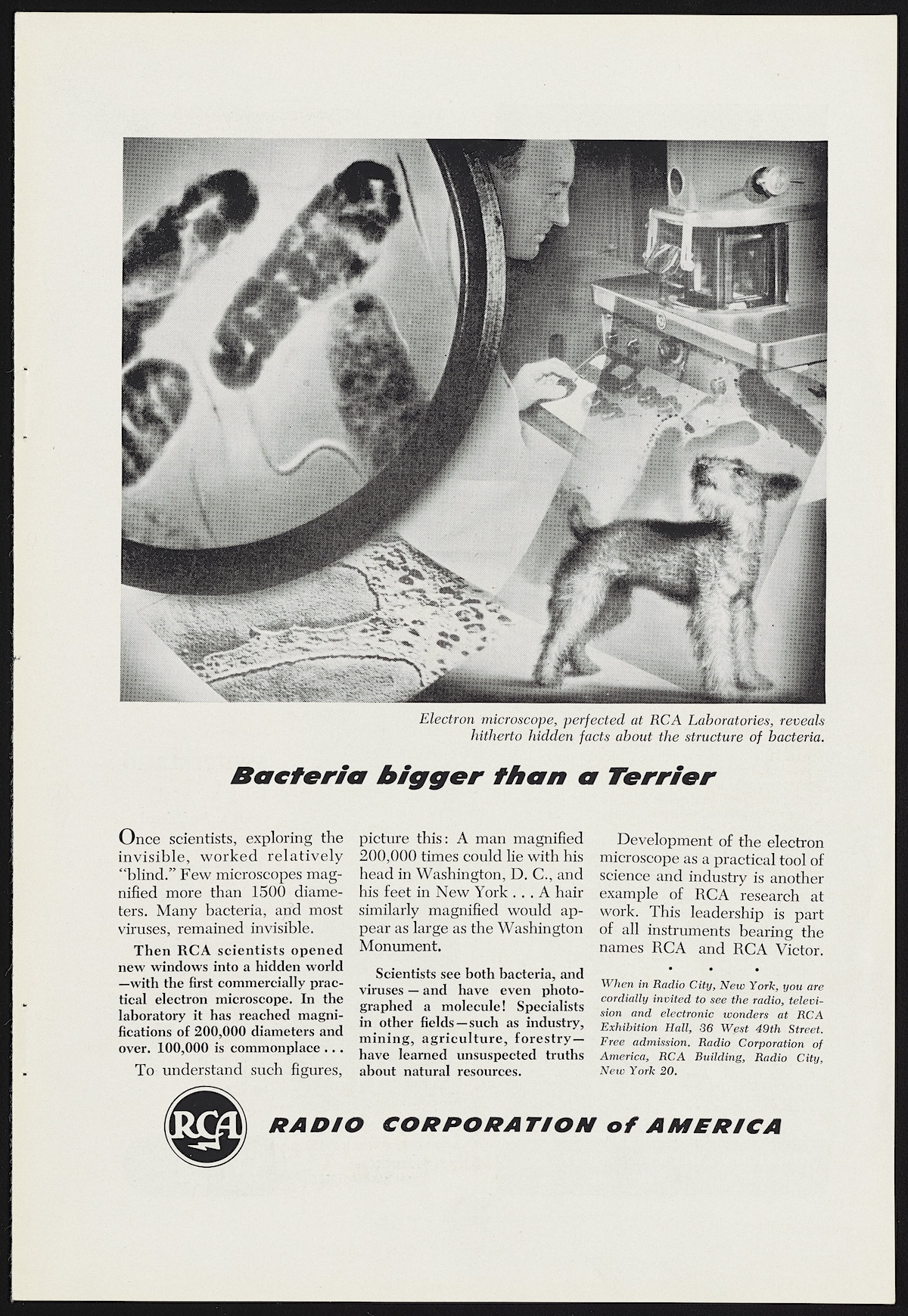 Bacteria Bigger Than a Terrier, RCA Laboratories ad, 1948.