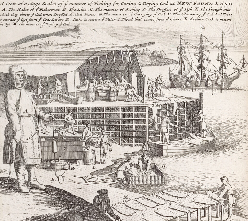 Old illustration showing men catching and processing fish