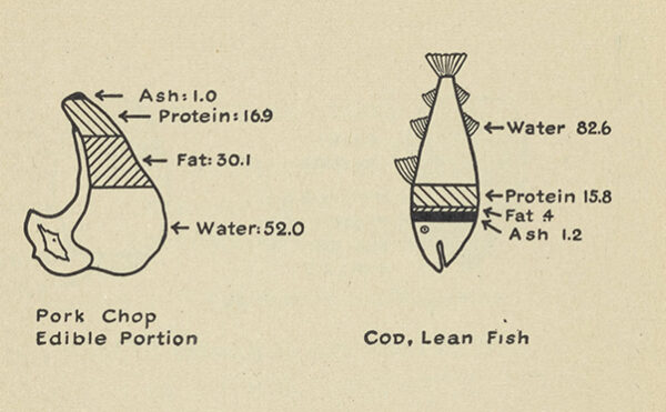 scientific diagrams of percentage composition of foods