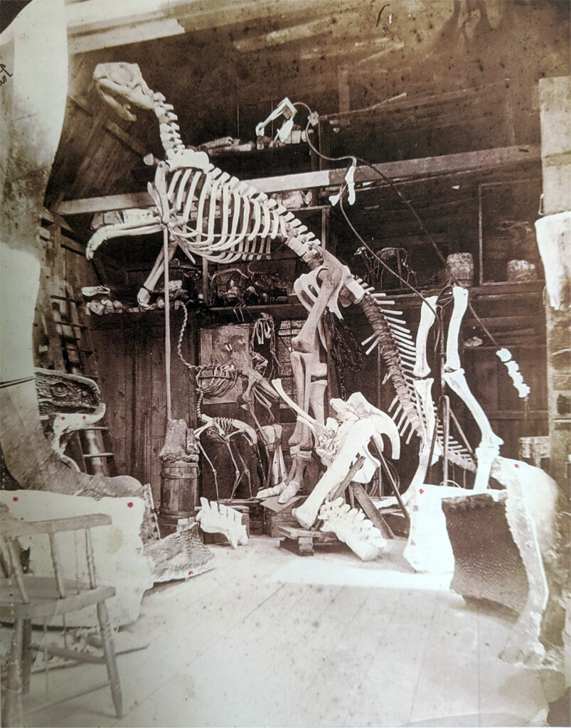 Old photograph of a workshop with a large dinosaur skeleton model looming