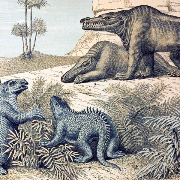 Colorized illustration showing dated depictions of dinosaurs in a stylized setting