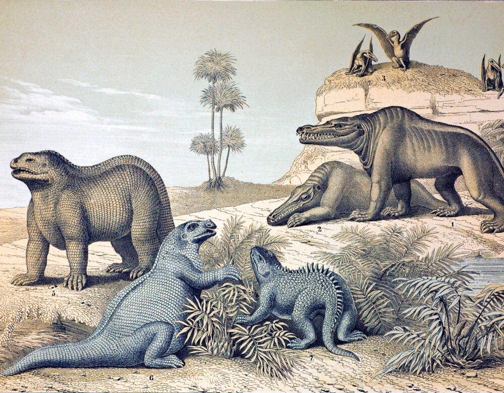 Colorized illustration showing dated depictions of dinosaurs in a stylized setting