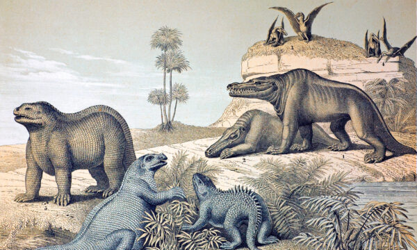 Colorized illustration showing dated depictions of dinosaurs in a stylized setting