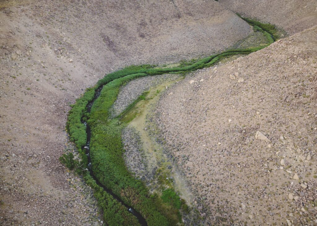 Long-distance photo of a creek running through a desert gorge with plants along the banks