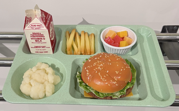 sample school food trays