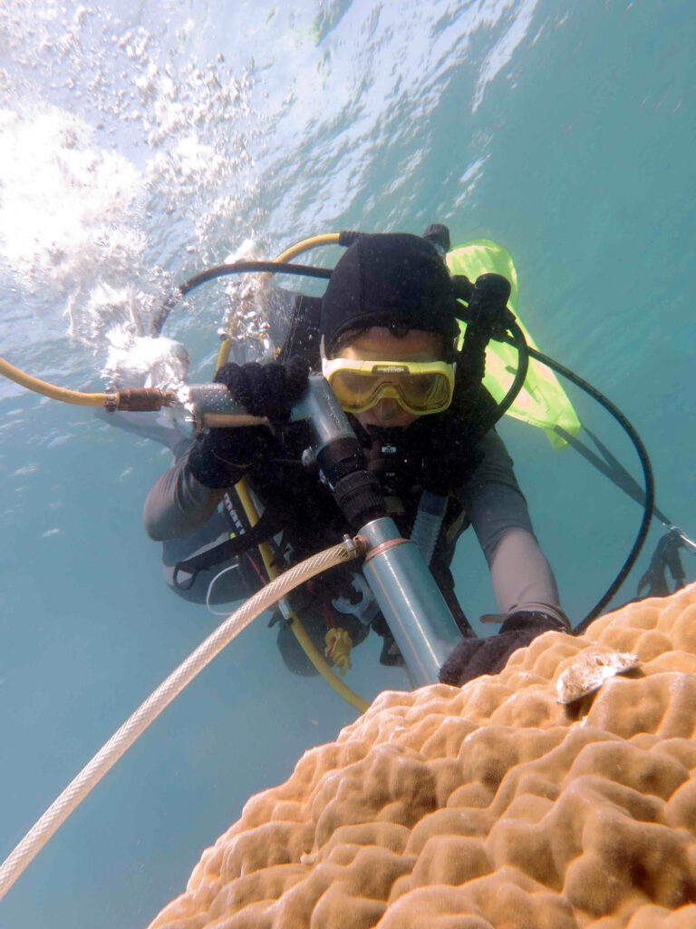 person in scuba gear in bright water drilling a hole in a large coral