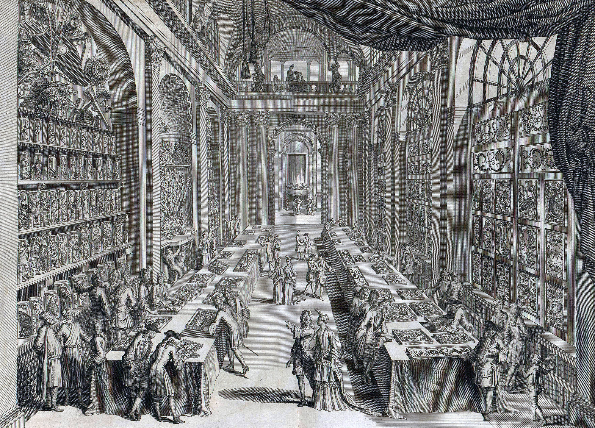 Illustration of a large building showing a large group of people examining a natural history collection