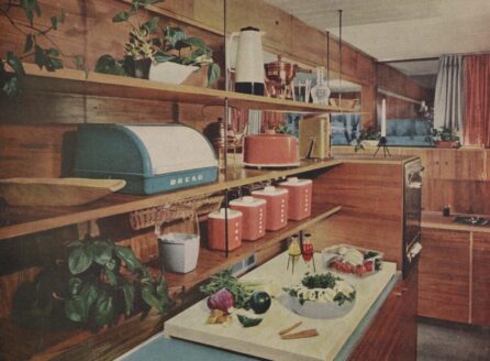 illustration of a 1950s kitchen