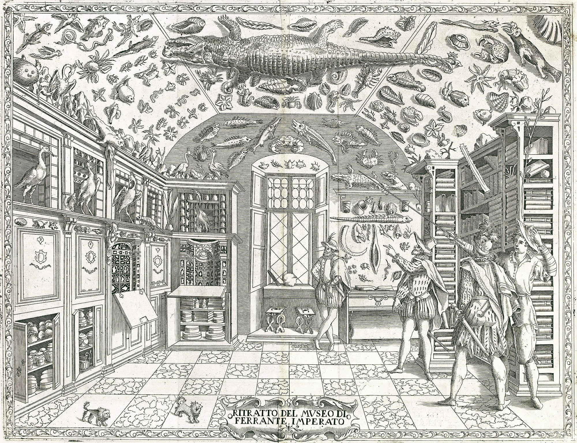 Illustration of a group of early modern men perusing a large collection of natural history samples in a large, vaulted room