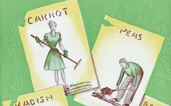 Illustration on bright green background with figures on cards representing vegetable farmers