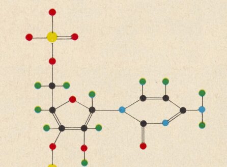 illustration of DNA sequences, a rose, and a human eye